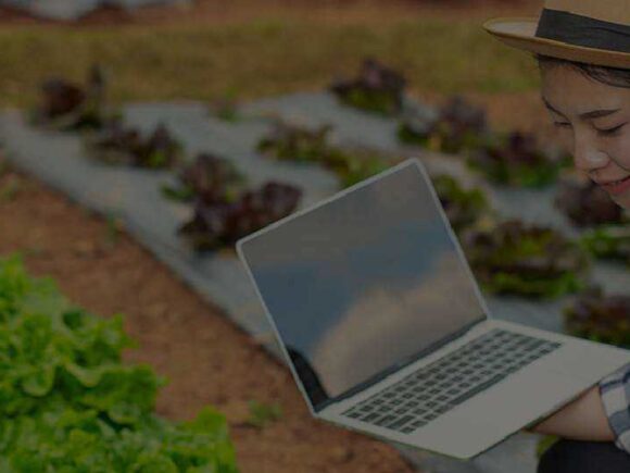 Organic Crops : A Pathway to Sustainable Growth