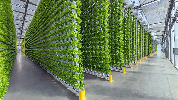 vetical farming Business ideas